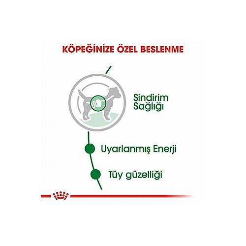 Royal Canin Mini Adult 85 gr 12'li Yeti�kin K�pek Ya� Mamas�