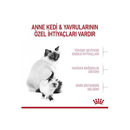  Royal Canin Mother&babycat Gebe/laktasyondaki Anne Ve Yavru Kedi I�in Kuru Kedi Mamas� 4kg-ANA