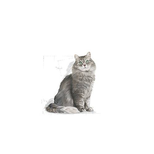Royal Canin Sensible 33 10 kg Hassas Yeti�kin Kedi Mamas�