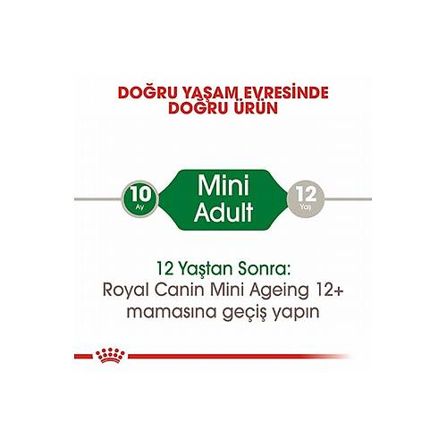 Royal Canin Mini Adult 85 gr 12'li Yetikin Kpek Ya Mamas
