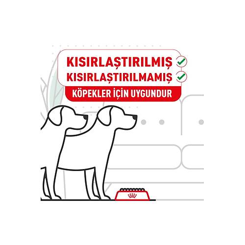 Royal Canin German Shepherd Irka �zel 11 kg Yeti�kin K�pek Mamas�