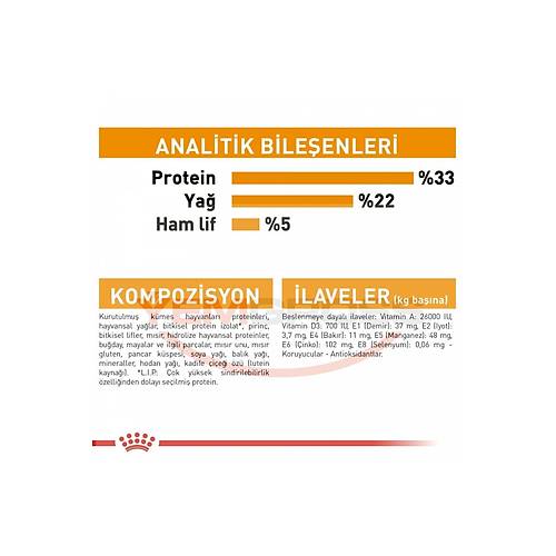 Royal Canin Hair & Skin 4 kg Yetikin Kedi Mamas