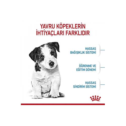 Royal Canin Mini Puppy K���k Irklar I�in Yavru Kuru K�pek Mamas� 4kg
