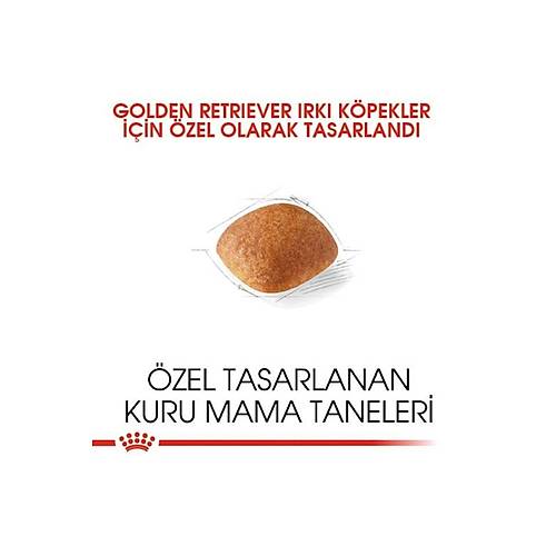 Royal Canin Golden Retriever 12 kg Yeti�kin K�pek Mamas�