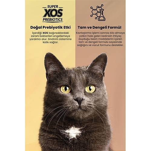 Reflex Plus Somonlu 8 kg K�s�rla�t�r�lm�� Yeti�kin Kedi Mamas�