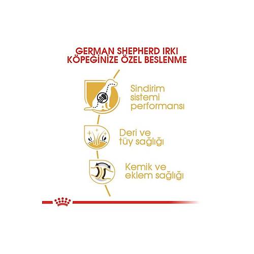 Royal Canin German Shepherd Irka �zel 11 kg Yeti�kin K�pek Mamas�
