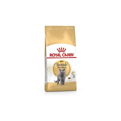 Royal Canin British Shorthair 4 kg Yetikin Kedi Mamas