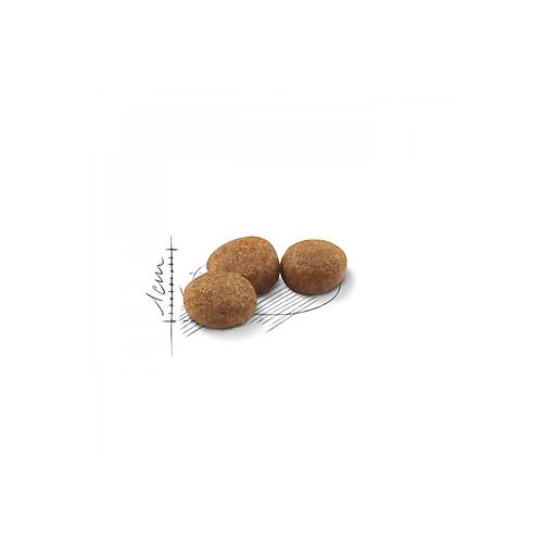  Royal Canin Sterilised37 K�s�rla�t�r�lm�� Kediler i�in Kuru Kedi Mamas� 2kg-s2 Ana