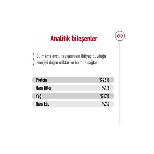 Royal Canin Maxi Adult 15 kg B�y�k Irk Yeti�kin K�pek Mamas�