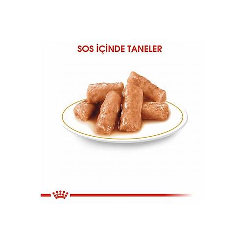 Royal Canin British Shorthair 85 gr 12'li Yeti�kin Kedi Ya� Mamas�