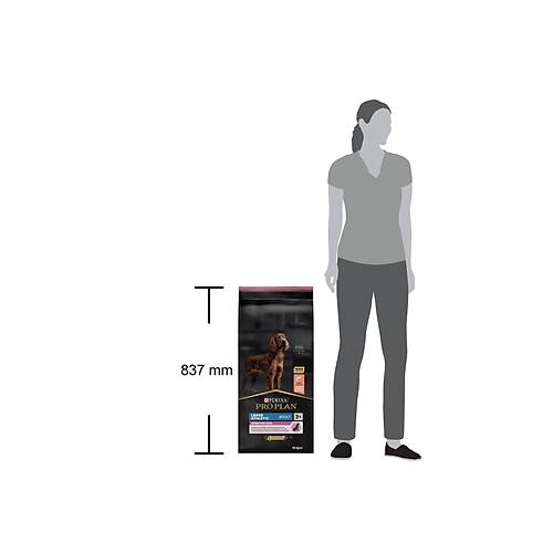 Proplan B�y�k Irk Somonlu Yeti�kin K�pek Mamas� 14 Kg