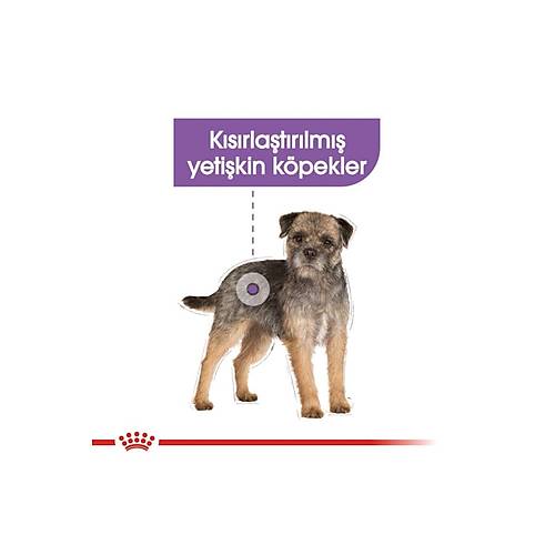 Royal Canin Mini Sterilised Yeti�kin K�s�rla�t�r�lm�� K�pek Mamas� 3 Kg