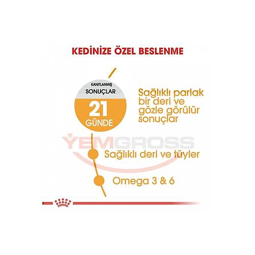 Royal Canin Hair & Skin 4 kg Yetikin Kedi Mamas