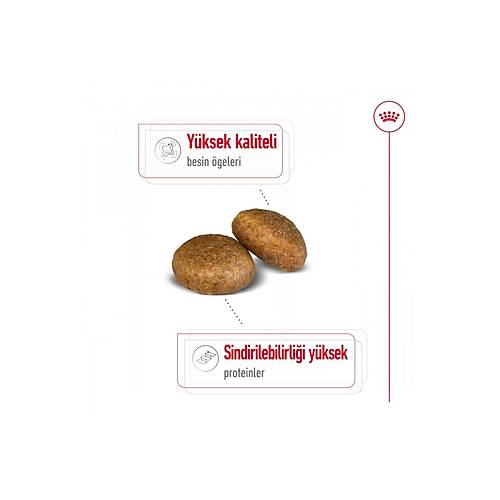 Royal Canin Maxi Adult 15 kg B�y�k Irk Yeti�kin K�pek Mamas�