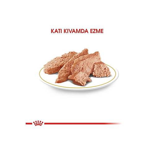 Royal Canin Poodle 85 gr 12'li Yeti�kin K�pek Ya� Mamas�