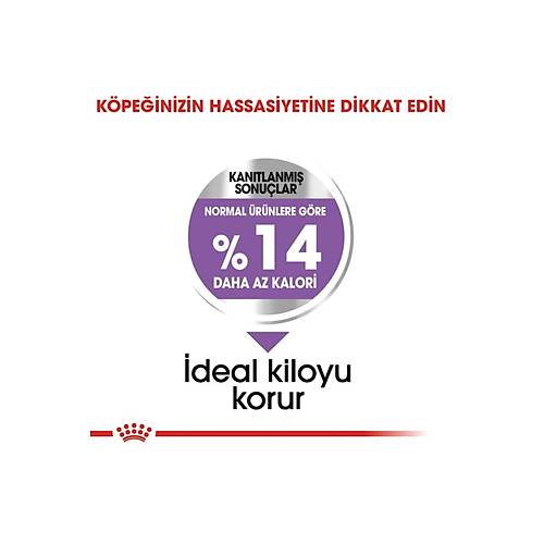 Royal Canin Mini Sterilised Yeti�kin K�s�rla�t�r�lm�� K�pek Mamas� 3 Kg