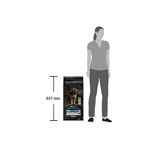 Pro Plan Sensitive Digestion Large Robust Kuzu Etli 14 kg B�y�k Irk Yeti�kin K�pek Mamas�