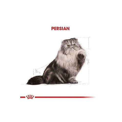Royal Canin Adult Persian ran Kedilerine zel 10 kg Yetikin Kuru Kedi Mamas
