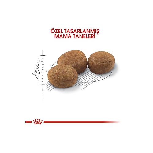 Royal Canin Sterilised Yetikin Ksrlatrlm Kedi Mamas 4 Kg