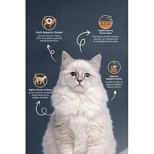 Reflex Sterilised Balkl 10 kg Yetikin Kedi Mamas