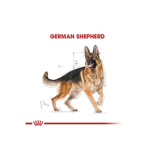 Royal Canin German Shepherd Irka �zel 11 kg Yeti�kin K�pek Mamas�