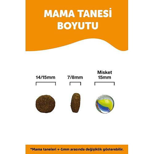 LaVital Maxi Adult Somonlu 12 kg + 3 kg B�y�k Irk Yeti�kin K�pek Mamas�