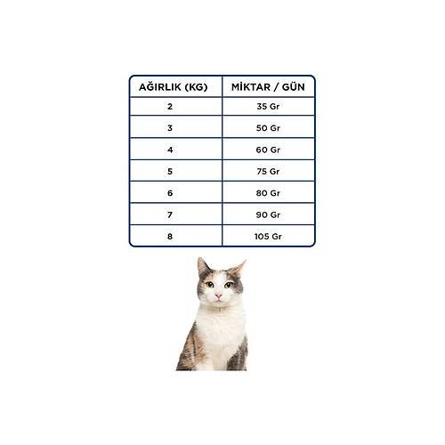 Econature Tavuklu Yeti�kin Kedi Mamas� 15KG Ekonomik Mama Segmenti ile Sa�l�kl� Beslenme