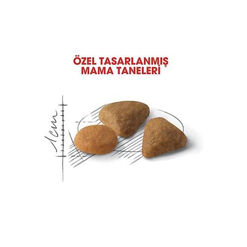 Royal Canin Exigent Savour Sensation 35/30 4 kg Yeti�kin Kuru Kedi Mamas�