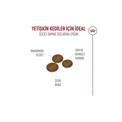 Royal Canin Fussy Exigent Se�ici Kediler I�in Kuru Kedi Mamas� 2kg