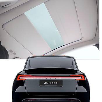 Tesla Juniper Elektrikli Senkronize Led  Sese Duyarl Tavan Gnelii, Ara  Demesi le Ayn Renk