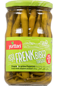 G�rsel 1