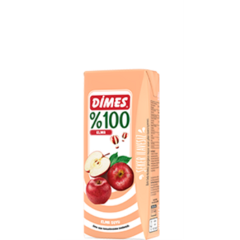 DMES %100 Elma Suyu 200 ml