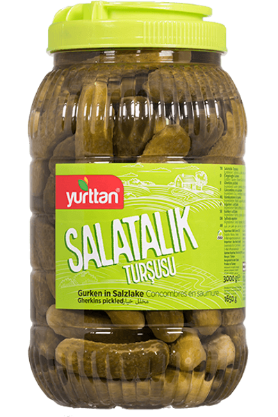 Salatal�k Tur�usu 3000