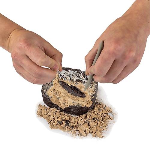 NAT06002 National Geographic Dino Kaz� Kiti - RTNGDINO2 +8 ya�