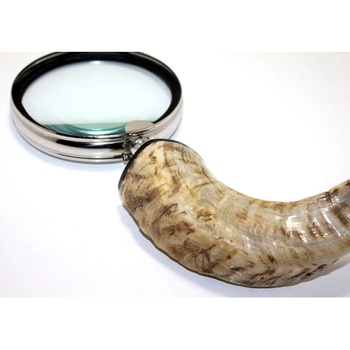 Pirin� Boynuz Sapl� B�y�te� Ksk14