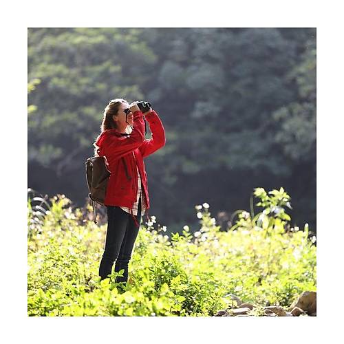 CANON BINOCULAR 12X32 IS