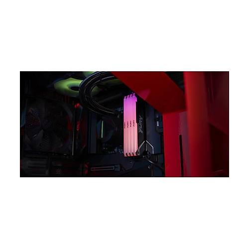 16GB 3200MT/s DDR4 CL16 DIMM (Kit of 2) Beast RGB Turkey
