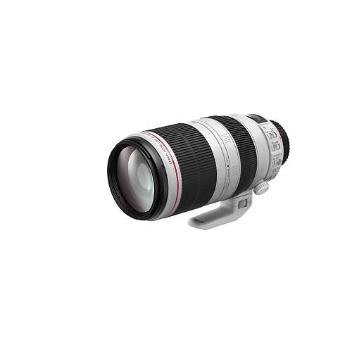 Canon Lens EF 100-400mm f/4.5-5.6 L IS II USM