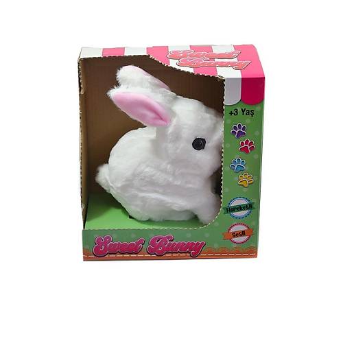 40098 Tav�an Pelu� Pilli-Aya Toys