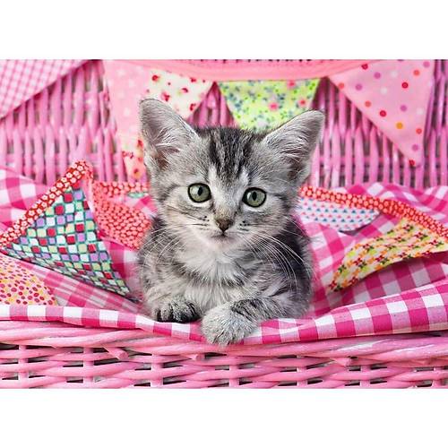 129850 Cute Kitty 100 par�a XXL Ravensburger Puzzle