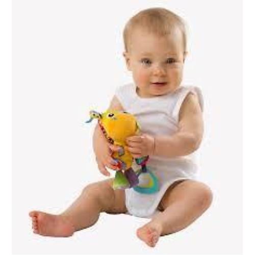 Playgro Munchimal Pelu Aktivite Oyunca Zrafa 0+Ay