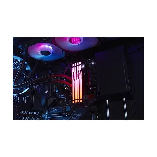 16GB 5600MT/s DDR5 CL36 DIMM (Kit of 2) Beast RGB EXPO Turkey