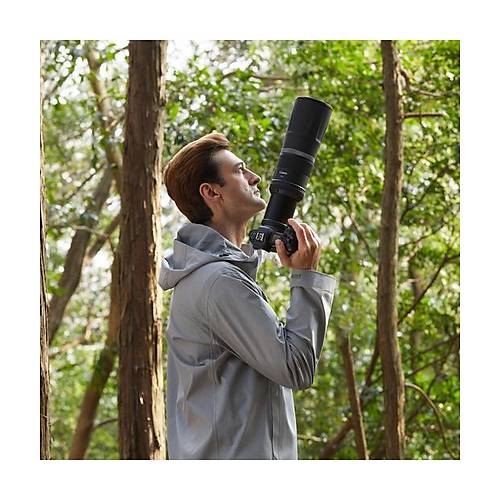 CANON LENS RF800MM F11 IS STM
