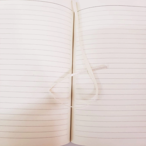 Hediyelik Metal Kalem Ve �izgili Deri Defter