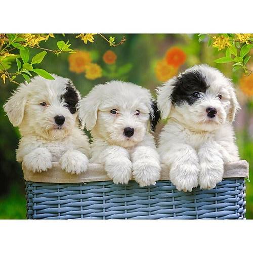 127658 Cuddly Puppies 200 par�a XXL Ravensburger Puzzle