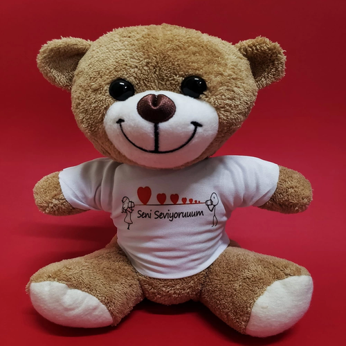 Seni Seviyorum Temal� Pelu� Ay�c�k