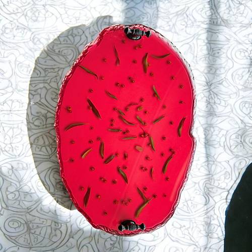 Epoksi Reine Tepsi - Ate Dikeni als Krmz - En: 24 cm Boy: 34 cm