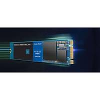 WD WDS250G1B0C 250GB Blue NVMe Sata 3.0 1700-1300MB/s Flash SSD