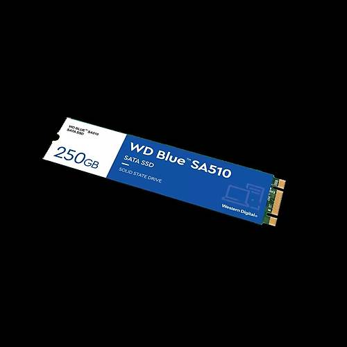 WD WDS250G3B0B Blue SA510 SATA SSD 2.5 in 7 mm kasal 250GB