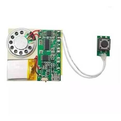 Buton Kontroll Ses Kayt ve alma Modl